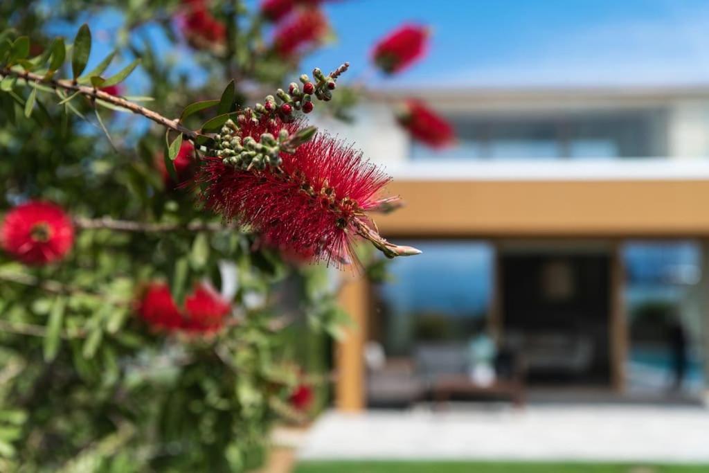 Stérnai Amare Chania Luxury Residence מראה חיצוני תמונה